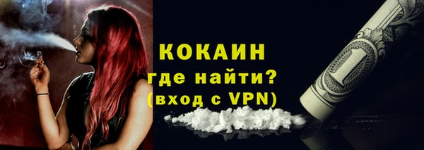 дмт Мегион