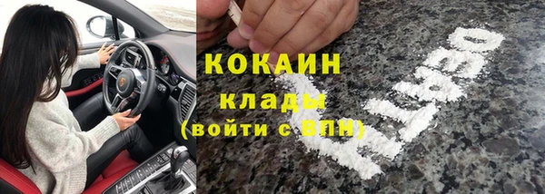 дмт Мегион