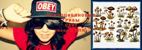 мет Медвежьегорск